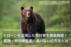 ドローンを活用した熊対策を徹底解説！ 駆除・赤外線監視・追い払いの方法とは