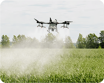 卒業後のご活躍例