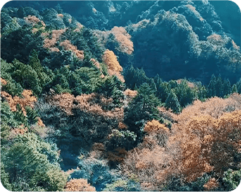 卒業後のご活躍例