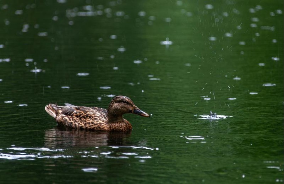 ドローン配送・配達の現状と将来の展望・事例をご紹介