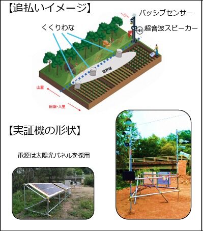 ドローン活用事例を徹底解説 自治体・日本国内・海外・ビジネスなどの事例をご紹介